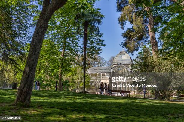 view of the crystal palace - actividad de fin de semana stock pictures, royalty-free photos & images