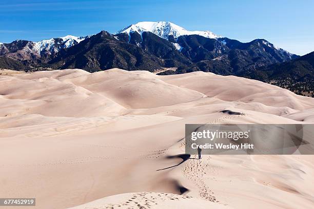 solo hiker on the great sand dunes of colorado - great sand dunes national park stock pictures, royalty-free photos & images