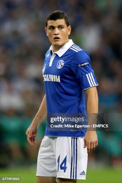 Kiriakos Papadopoulos, Schalke 04