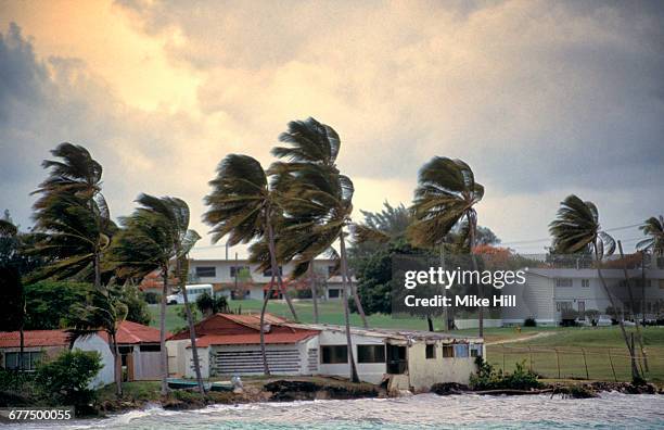 hurricane winds - antilles stock pictures, royalty-free photos & images