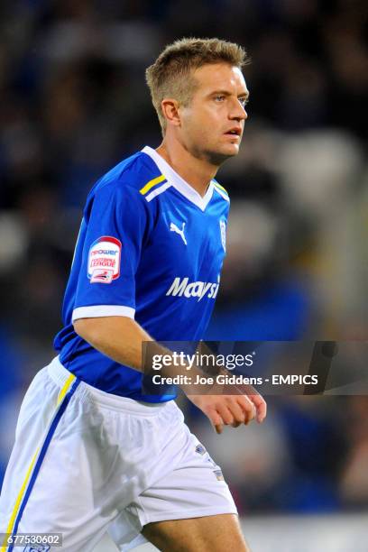 Stephen McPhail, Cardiff City