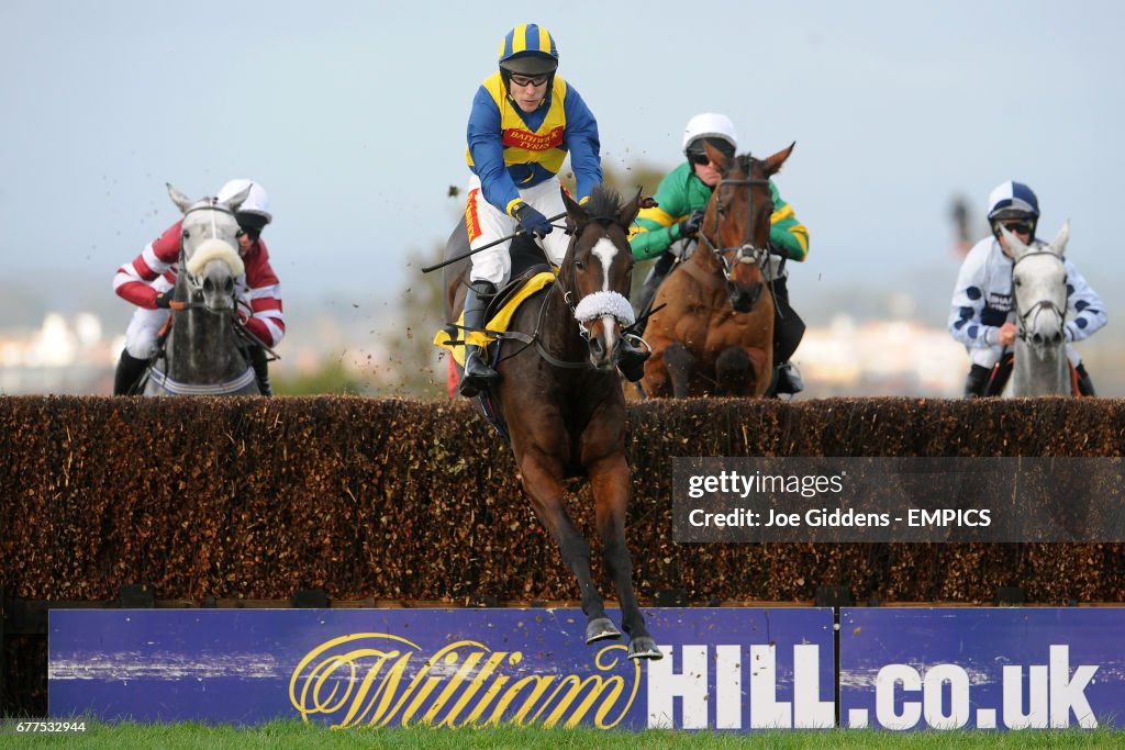 Horse Racing - Countryside Family Day - Carlisle Racecourse