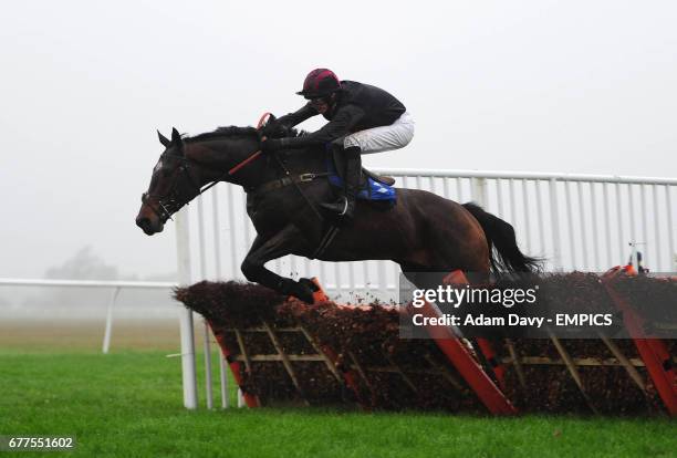 Cry of Feedom ridden by J.M. Quinlan on his way to winning the Weatherby's Novice's Hurdle Race