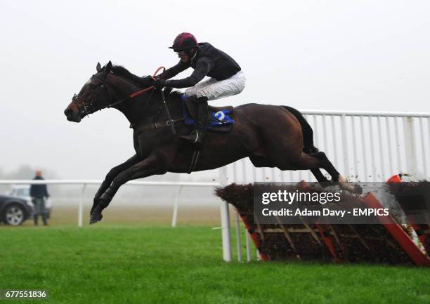 Cry of Feedom ridden by J.M. Quinlan on his way to winning the Weatherby's Novice's Hurdle Race