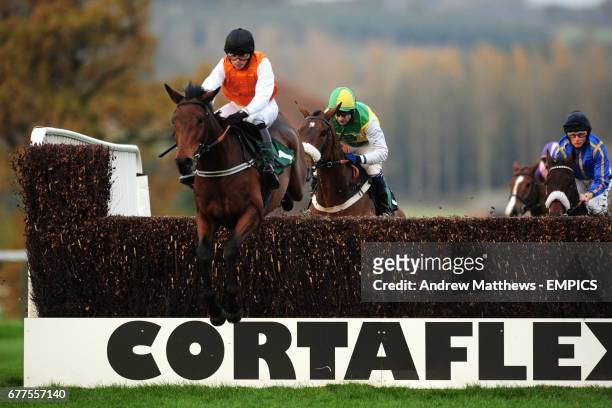 Reg's Ruby ridden by Tommy Phelan jumps the fence during the Jane Cheney Memorial Novices' Handicap Chase