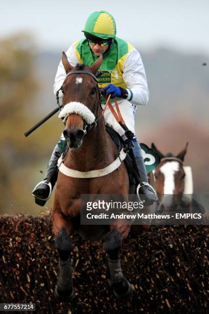 Catch The Rascal ridden by Andrew Thornton during the Jane Cheney Memorial Novices' Handicap Chase