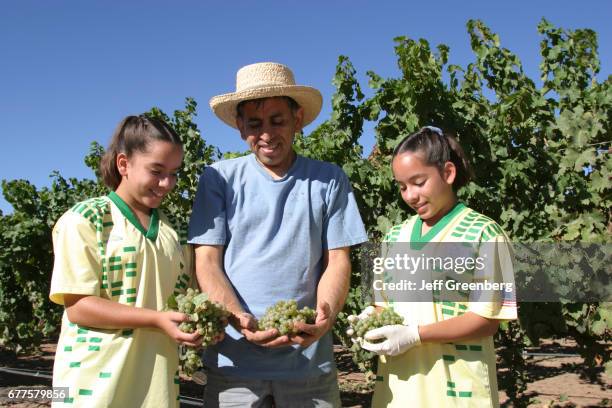 Two girls and a man holding grapes at Casa Rodena Winery.