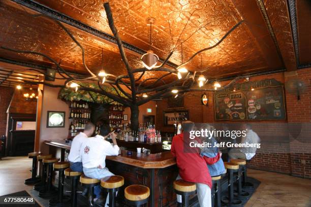 Tree House Interior Photos and Premium High Res Pictures - Getty Images