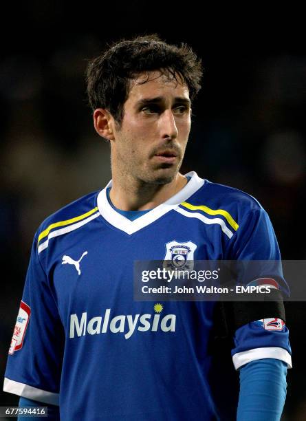 Peter Whittingham, Cardiff City