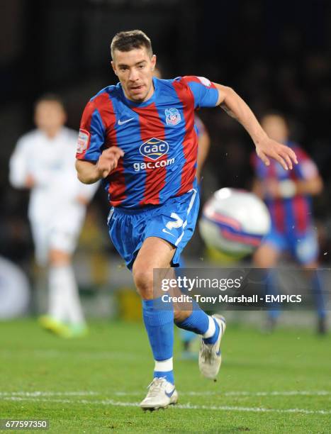 Crystal Palace's Darren Ambrose