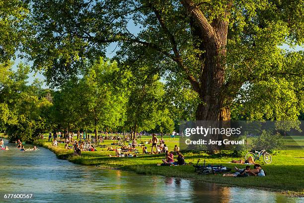 englischer garten, munich - englischer garten stock pictures, royalty-free photos & images