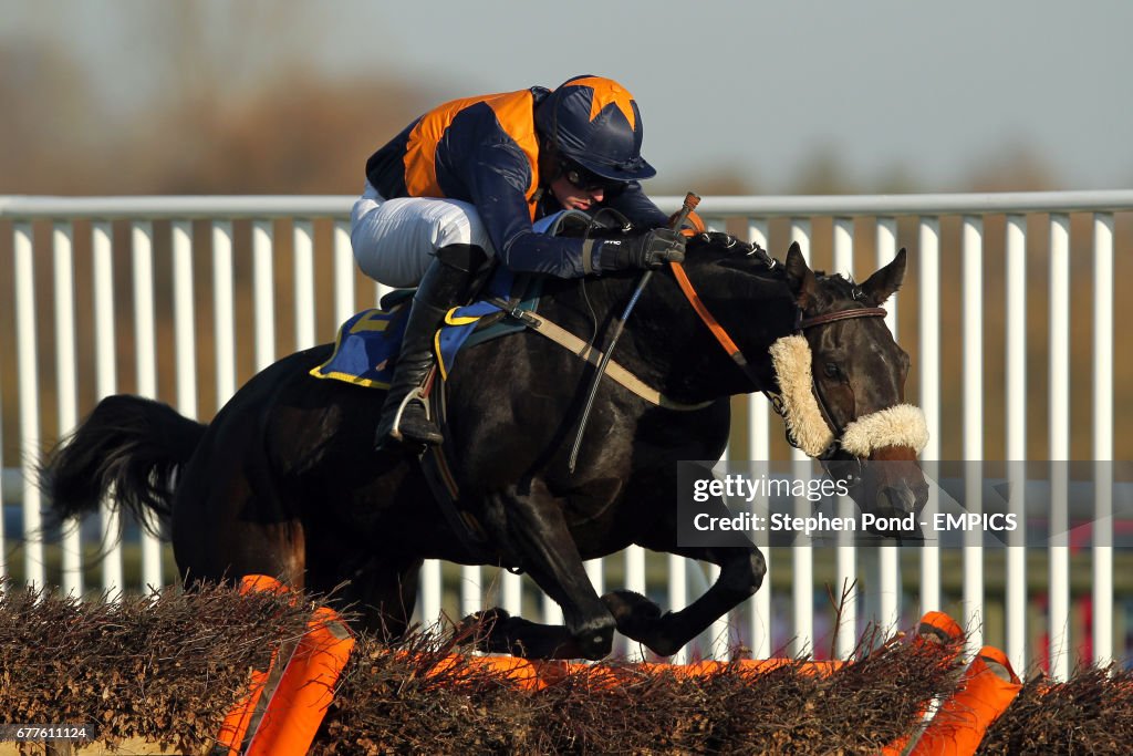 Horse Racing - Fakenham Racecourse
