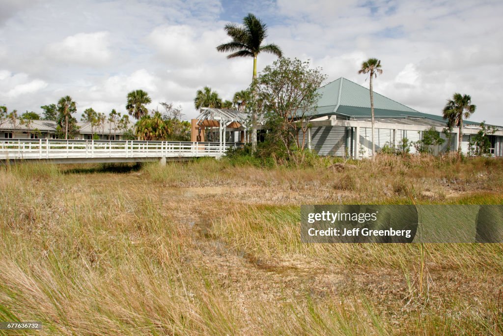 Endangered panther statue, Florida, National Everglades Park