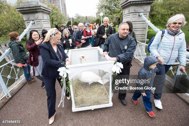 Director of Animal Care and Control Amanda Kennedy and Animal Control Officer Anthony Fabiano push Juliet, one of two swans to be released, into the...