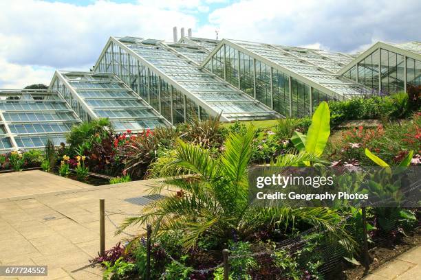 Princess of Wales conservatory glasshouses, Kew Gardens, Royal Botanic Gardens, London, England, UK.