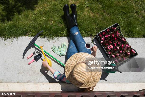 woman botanist drinking coffee - flower pot overhead stock pictures, royalty-free photos & images