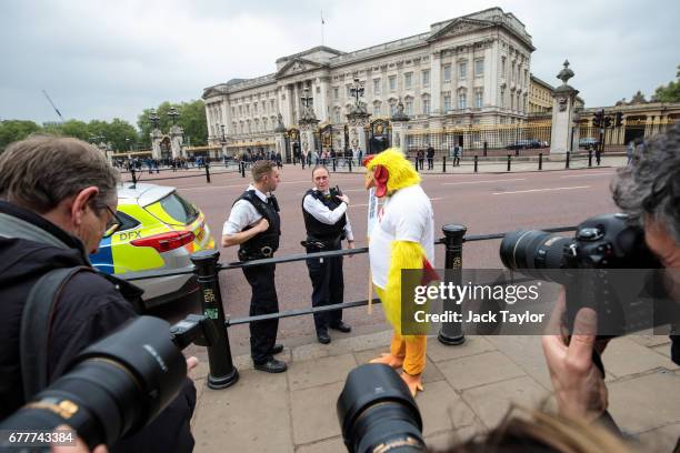 Chicken Police Photos and Premium High Res Pictures - Getty Images