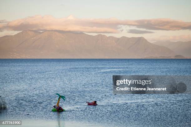 palm tree boat, villarica, chile, 2013 - amérique latine 個照片及圖片檔