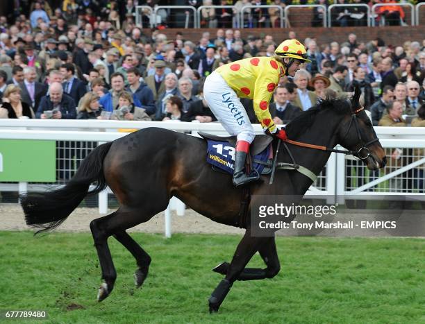 Montbazon ridden by Robert Thornton going to post for the William Hill Supreme Novices' Hurdle on Centenary Day, during the Cheltenham Festival.
