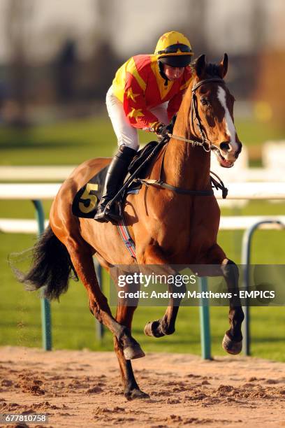 Galley Slave ridden by Jockey Miss Alice Mills goes to post in the Dine In The Pantry Handicap Hurdle