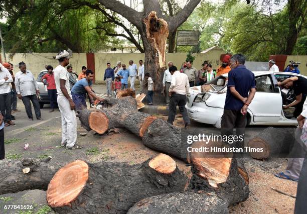 Car crash after the branches of a tree fall down at Jantar Mantar in a sudden light rainfall and dust storm, on May 3, 2017 in New Delhi, India. A...