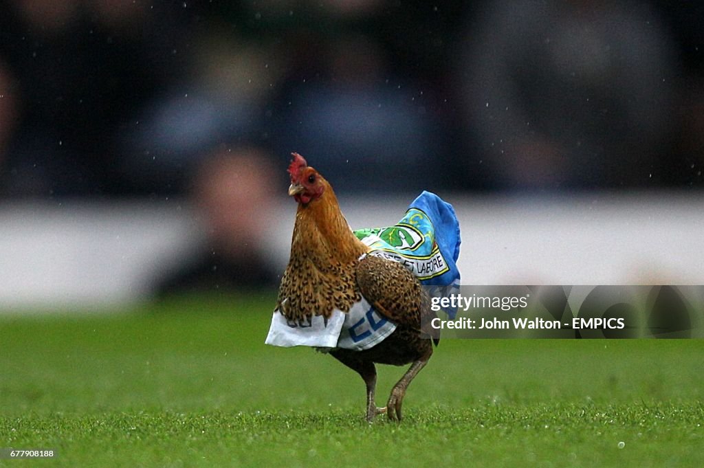 Soccer - Barclays Premier League - Blackburn Rovers v Wigan Athletic - Ewood Park