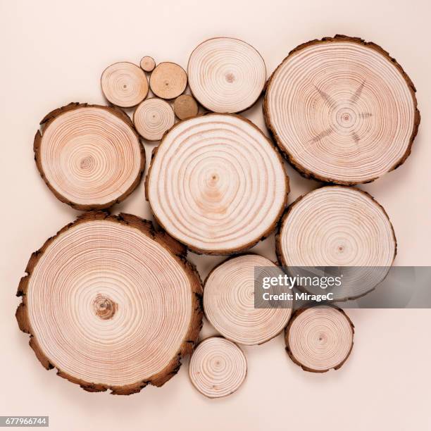 tree wood log slices - ring stock-fotos und bilder