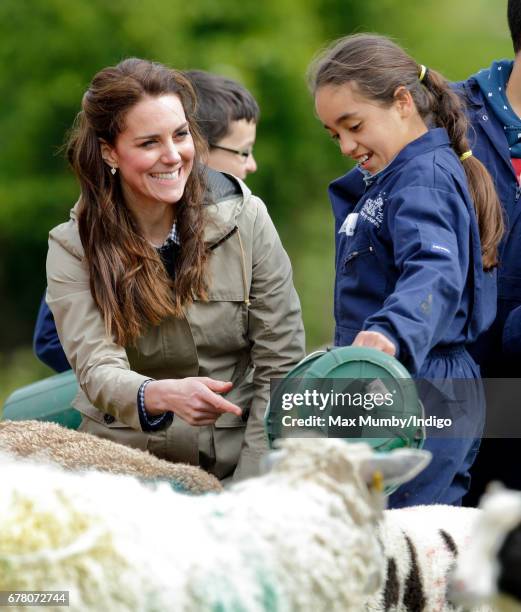 Catherine, Duchess of Cambridge meets a flock of sheep with their lambs as she visits Farms for City Children on May 3, 2017 in Arlingham, England....