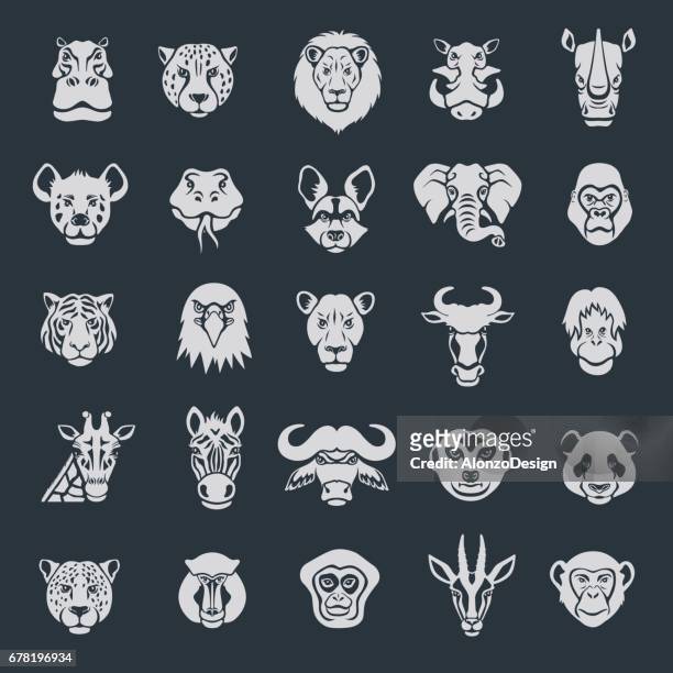 ilustrações de stock, clip art, desenhos animados e ícones de wild animal face icons - elephant head