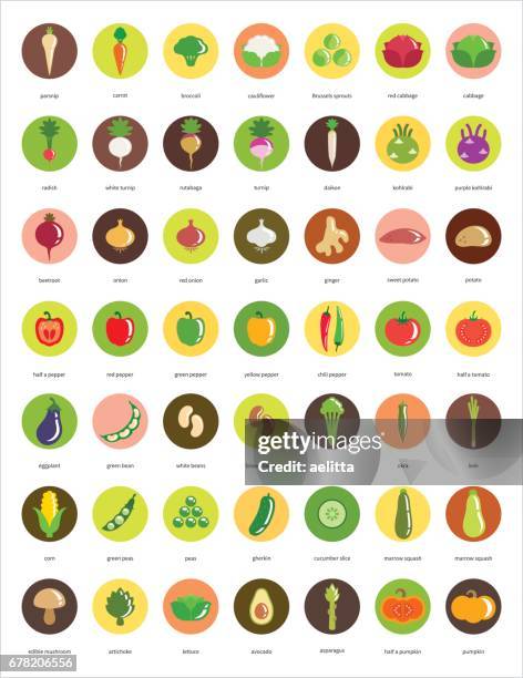 ilustrações, clipart, desenhos animados e ícones de ícones de vegetais – grande conjunto de ícones do círculo de quarenta e nove - okra