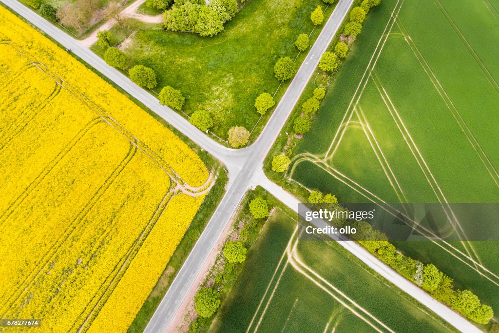 Canola and wheat fields in spring - aerial view