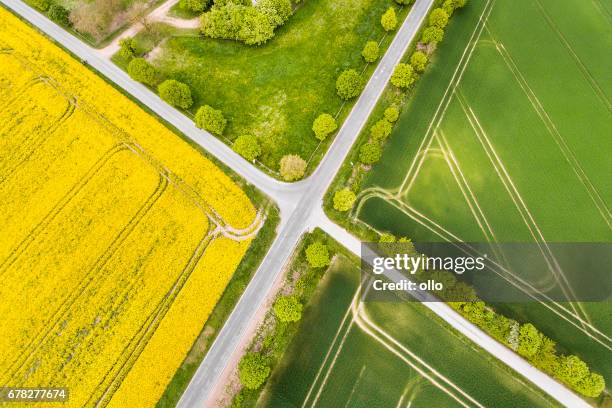 canola and wheat fields in spring - aerial view - crossroad stock pictures, royalty-free photos & images