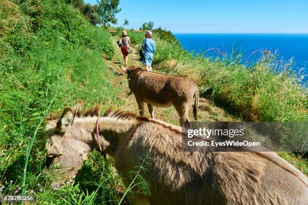 Donkeys and Hikers at the Amalfi Coast on June 24, 2015 in Naples, Italy.