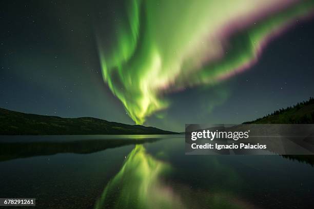 northern lights, aurora borealis, fox lake - yukon fotografías e imágenes de stock