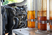 Oil palm biofuel biodiesel in tubes.