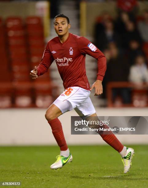 Nottingham Forest's Jermaine Jenas