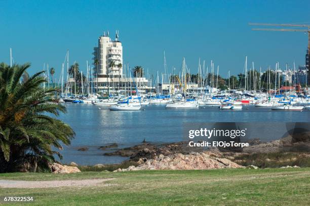 view of puertito del buceo in pocitos neighborhood, montevideo, uruguay. - buceo stock pictures, royalty-free photos & images