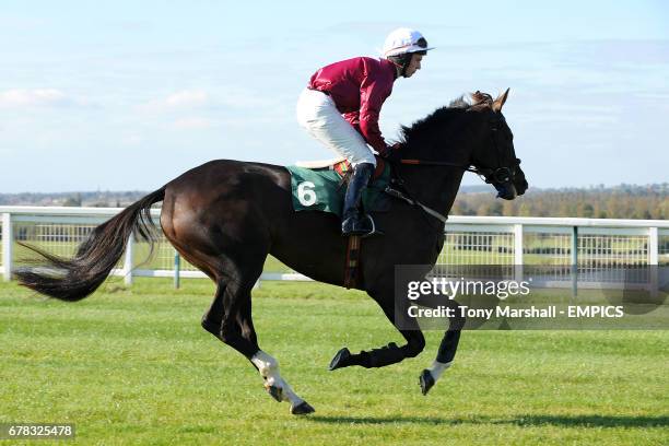 Jockey Jamie Flynn goes to post on Oscar Leney prior to the Linden Homes Greens Norton Beginners' Chase