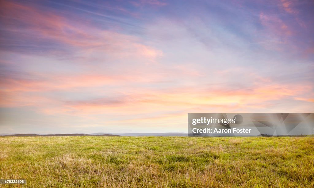 Grass hill top