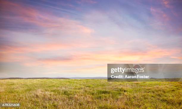 grass hill top - sunset imagens e fotografias de stock