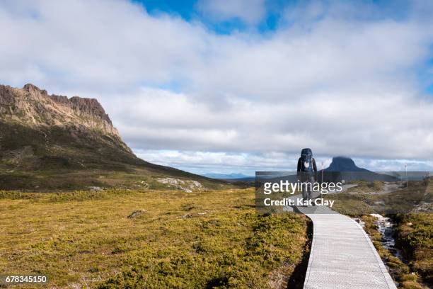 man hiking the overland track - cradle mountain tasmania imagens e fotografias de stock