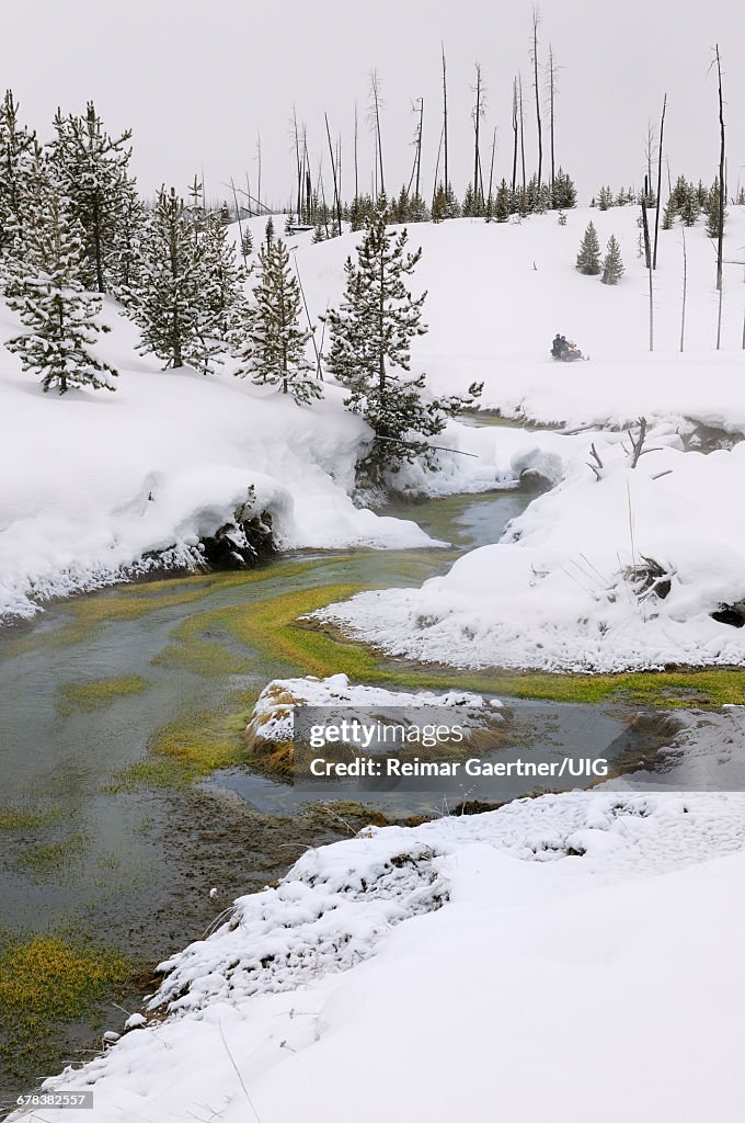 Winter Creek