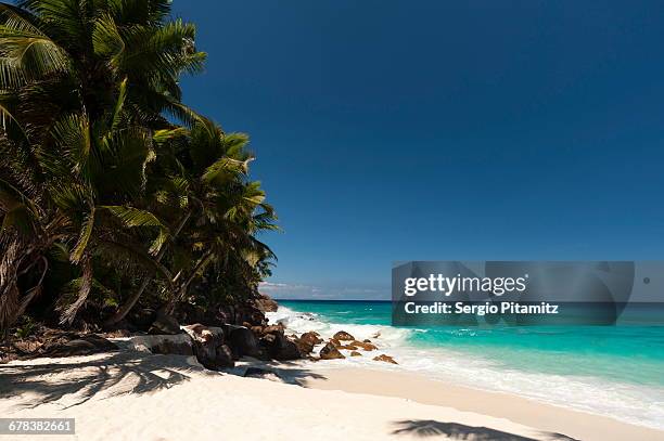 fregate island, seychelles, indian ocean, africa - fregate stock pictures, royalty-free photos & images