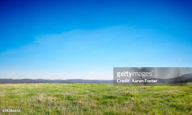 grass hill top - cielo azul fotografías e imágenes de stock