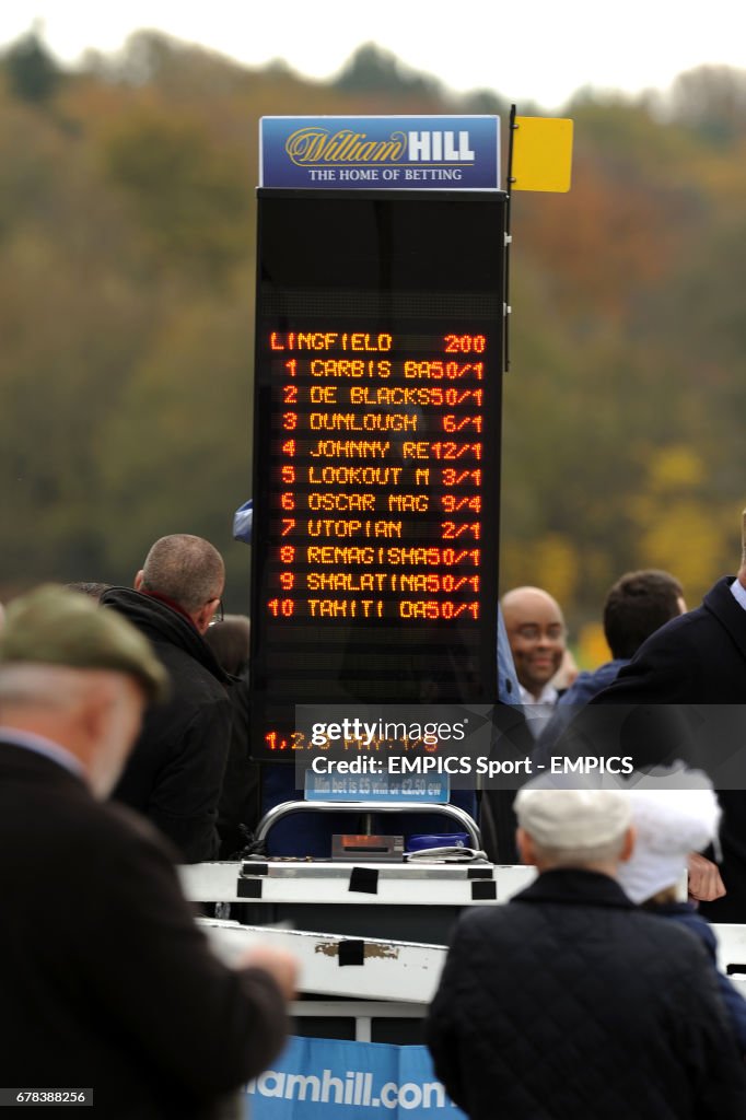Horse Racing - Lingfield Park Races