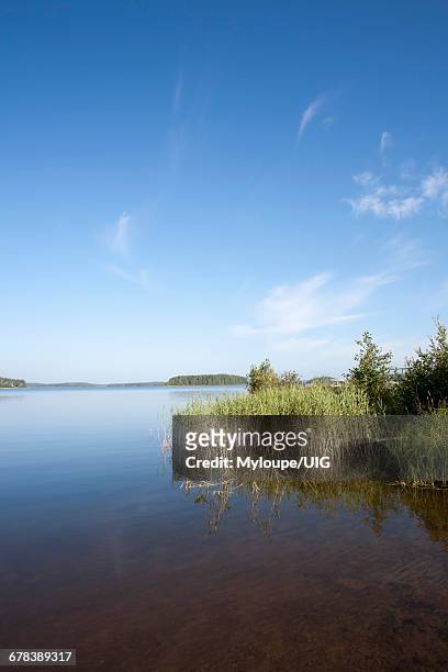 summer scenery, lappeenranta finland - ラッペーンランタ ストックフォトと画像