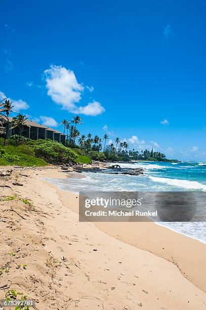 sandy beach on kapaa beach park on the island of kauai, hawaii, united states of america, pacific - kapaa beach park stock-fotos und bilder