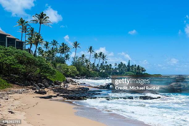 sandy beach on kapaa beach park on the island of kauai, hawaii, united states of america, pacific - kapaa beach park stock-fotos und bilder