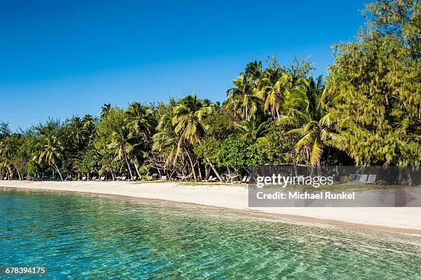 white sand beach, nanuya lailai island, the blue lagoon, yasawas, fiji, south pacific, pacific - yasawa island group stock pictures, royalty-free photos & images