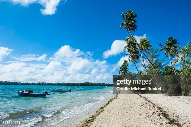 palm fringed white sand beach on an islet of vavau, vavau islands, tonga, south pacific, pacific - isole vavau foto e immagini stock